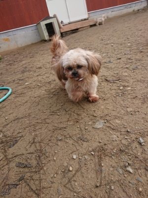 f:id:roukenhome-ann:20181201182818j:plain