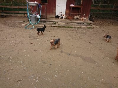 f:id:roukenhome-ann:20181201182908j:plain