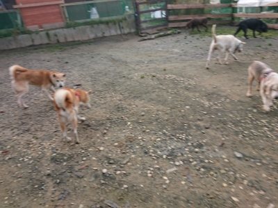 f:id:roukenhome-ann:20181201182924j:plain