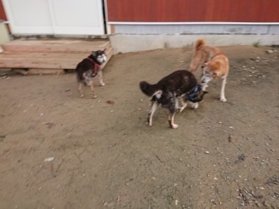 f:id:roukenhome-ann:20181201182950j:plain