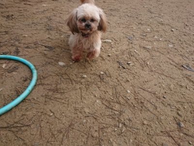 f:id:roukenhome-ann:20181201183010j:plain
