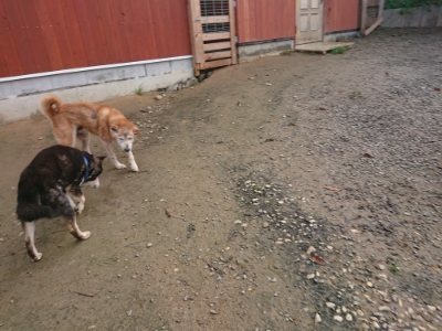 f:id:roukenhome-ann:20181201183042j:plain