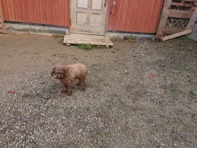 f:id:roukenhome-ann:20181201183047j:plain