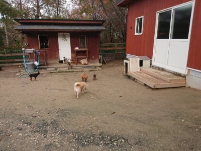 f:id:roukenhome-ann:20181201183053j:plain