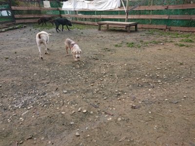 f:id:roukenhome-ann:20181201183125j:plain
