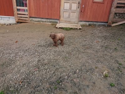 f:id:roukenhome-ann:20181201183141j:plain