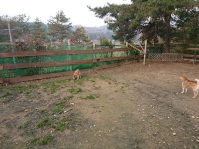 f:id:roukenhome-ann:20181201183239j:plain