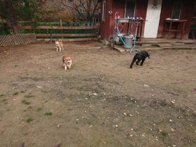 f:id:roukenhome-ann:20181201183256j:plain