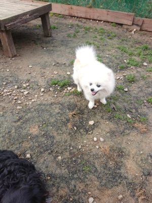 f:id:roukenhome-ann:20181201183304j:plain