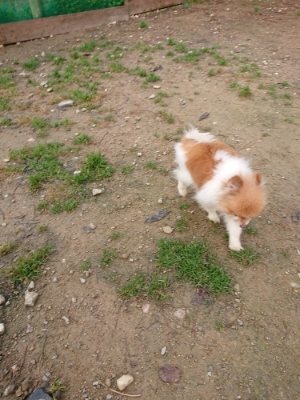 f:id:roukenhome-ann:20181201183311j:plain