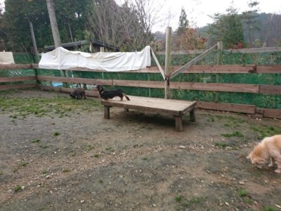 f:id:roukenhome-ann:20181201183345j:plain