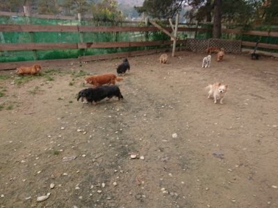 f:id:roukenhome-ann:20181201183351j:plain