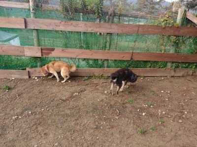 f:id:roukenhome-ann:20181201183417j:plain
