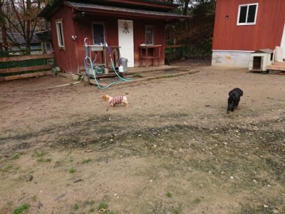 f:id:roukenhome-ann:20181204080220j:plain f:id:roukenhome-ann:20181204080220j:plain