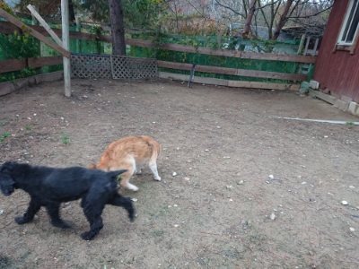 f:id:roukenhome-ann:20181204080234j:plain f:id:roukenhome-ann:20181204080234j:plain