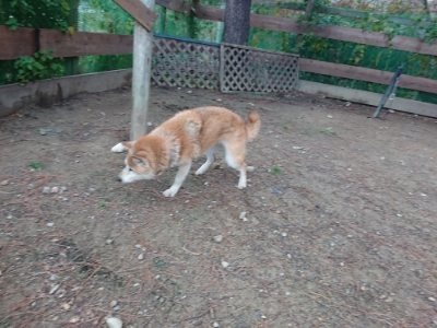 f:id:roukenhome-ann:20181204080244j:plain f:id:roukenhome-ann:20181204080244j:plain