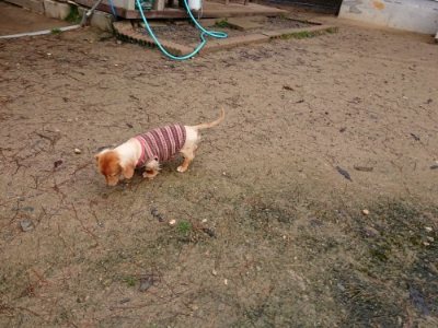 f:id:roukenhome-ann:20181204080250j:plain f:id:roukenhome-ann:20181204080250j:plain