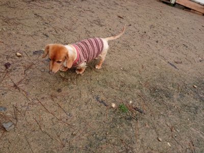 f:id:roukenhome-ann:20181204080255j:plain f:id:roukenhome-ann:20181204080255j:plain