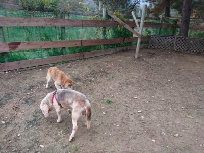 f:id:roukenhome-ann:20181204080309j:plain f:id:roukenhome-ann:20181204080309j:plain