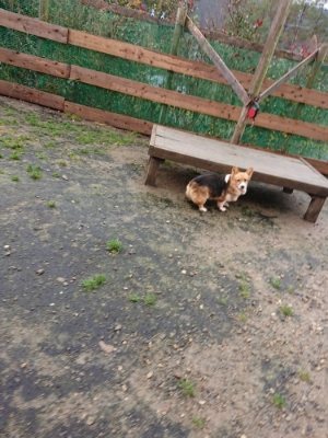 f:id:roukenhome-ann:20181204080449j:plain f:id:roukenhome-ann:20181204080449j:plain