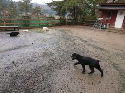 f:id:roukenhome-ann:20181204080914j:plain f:id:roukenhome-ann:20181204080914j:plain