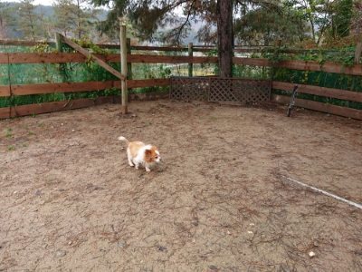 f:id:roukenhome-ann:20181204080924j:plain f:id:roukenhome-ann:20181204080924j:plain
