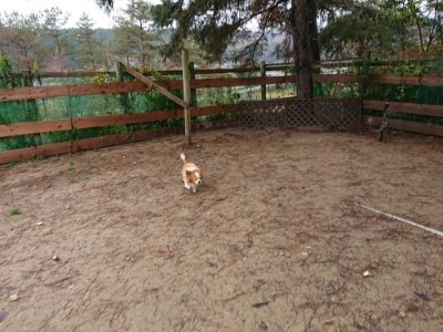 f:id:roukenhome-ann:20181204080956j:plain f:id:roukenhome-ann:20181204080956j:plain