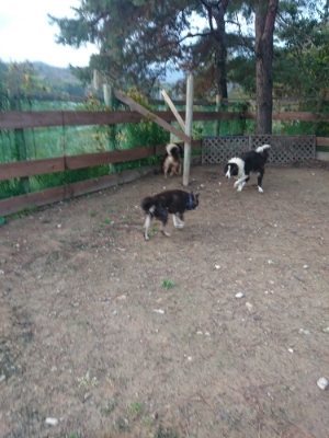 f:id:roukenhome-ann:20181204081006j:plain f:id:roukenhome-ann:20181204081006j:plain