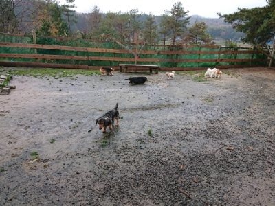 f:id:roukenhome-ann:20181204081016j:plain f:id:roukenhome-ann:20181204081016j:plain