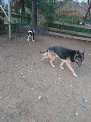 f:id:roukenhome-ann:20181204081031j:plain f:id:roukenhome-ann:20181204081031j:plain
