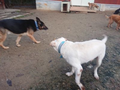 f:id:roukenhome-ann:20181204081035j:plain f:id:roukenhome-ann:20181204081035j:plain