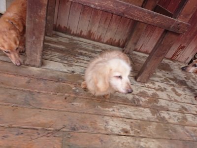 f:id:roukenhome-ann:20181204081056j:plain f:id:roukenhome-ann:20181204081056j:plain