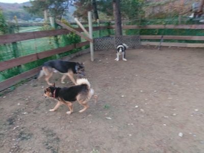 f:id:roukenhome-ann:20181204081104j:plain f:id:roukenhome-ann:20181204081104j:plain