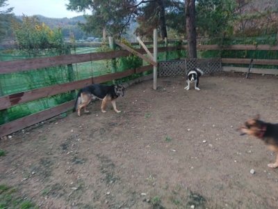 f:id:roukenhome-ann:20181204081230j:plain f:id:roukenhome-ann:20181204081230j:plain