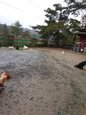 f:id:roukenhome-ann:20181204081308j:plain f:id:roukenhome-ann:20181204081308j:plain