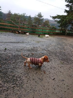 f:id:roukenhome-ann:20181204081313j:plain f:id:roukenhome-ann:20181204081313j:plain