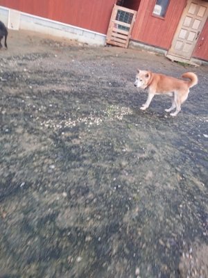 f:id:roukenhome-ann:20181204081326j:plain f:id:roukenhome-ann:20181204081326j:plain