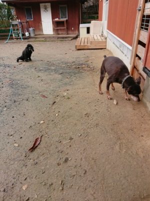f:id:roukenhome-ann:20181204081337j:plain f:id:roukenhome-ann:20181204081337j:plain