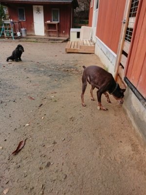 f:id:roukenhome-ann:20181204081341j:plain f:id:roukenhome-ann:20181204081341j:plain