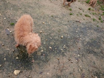 f:id:roukenhome-ann:20181204081346j:plain f:id:roukenhome-ann:20181204081346j:plain