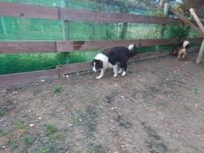 f:id:roukenhome-ann:20181204081425j:plain f:id:roukenhome-ann:20181204081425j:plain