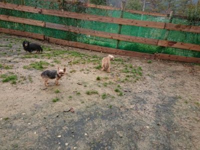 f:id:roukenhome-ann:20181204081441j:plain f:id:roukenhome-ann:20181204081441j:plain