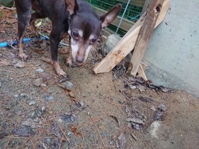f:id:roukenhome-ann:20181207072703j:plain