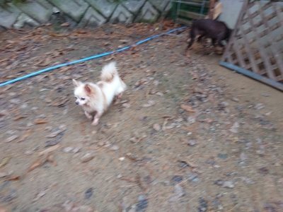 f:id:roukenhome-ann:20181207072727j:plain
