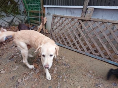 f:id:roukenhome-ann:20181207072803j:plain