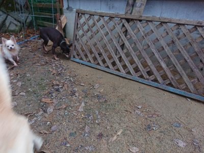 f:id:roukenhome-ann:20181207072808j:plain