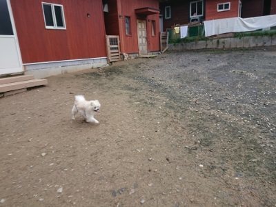 f:id:roukenhome-ann:20181207072831j:plain