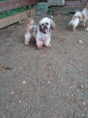 f:id:roukenhome-ann:20181207072903j:plain