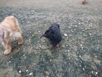 f:id:roukenhome-ann:20181207073538j:plain