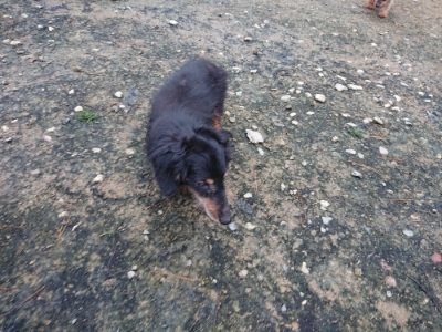 f:id:roukenhome-ann:20181207073544j:plain